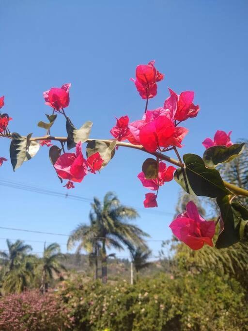 Chale Aconchegante Em Estancia Climatica Santo Antônio do Leite Kültér fotó