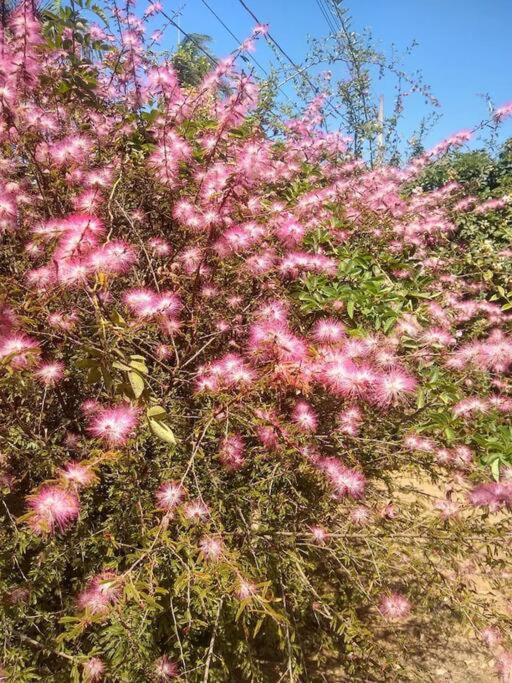 Chale Aconchegante Em Estancia Climatica Santo Antônio do Leite Kültér fotó
