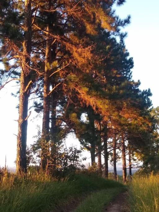 Chale Aconchegante Em Estancia Climatica Santo Antônio do Leite Kültér fotó